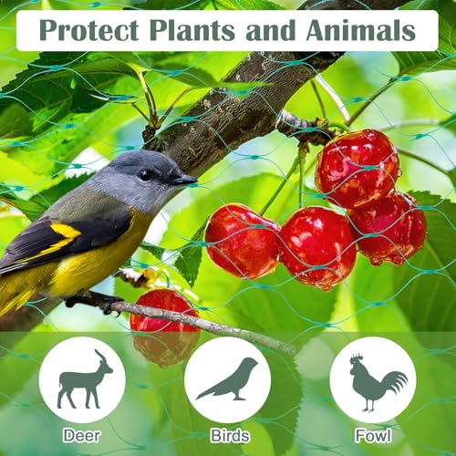13Ft x 33Ft Anti Bird Netting Protection Mesh Garden Netting Seedlings Plants Flowers Fruit Trees Vegetables from Rodents Deer Reusable Fencing, Green - color: Green