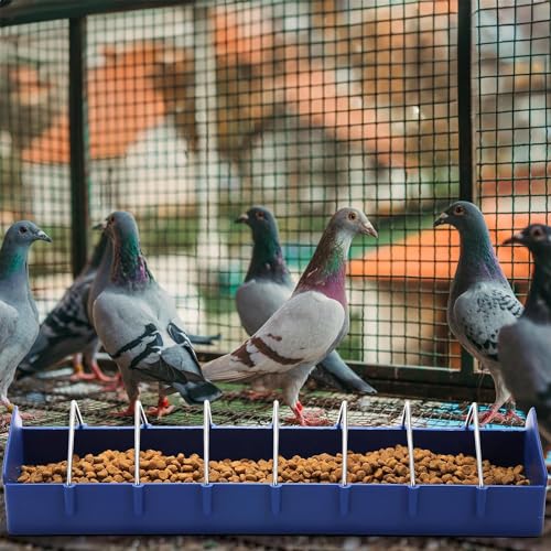 Coloch 4 Pack Large Pigeon Feeder, 8 Slot Poultry Feeder Bowl Thick Chicken Feeding Dish Bird Food Dispenser Tool Slot Container for Bird, Chicken, Duck, Poultry, Parrots