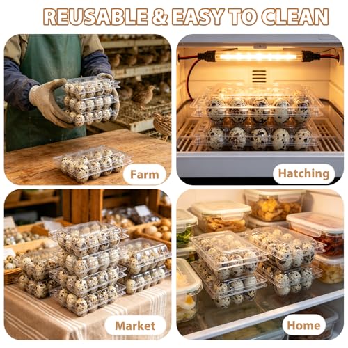 120 Pack Quail Egg Cartons 12 Grid, Heavy Duty Snap Lock Clear Plastic Small Egg Container, Stackable Bulk Tray for Quail Pigeon Button Eggs - Not for Chicken Eggs