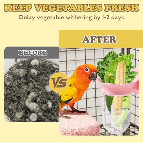 2PCS Vegetable Bird Cage Feeder, Millet Holder for Bird Cage, Veggie & Fruit Parakeet Holder Cup with Water Storage to Keep Green for Cockatiels, Budgies, Lovebirds