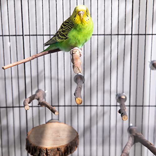 8Pcs Natural Wood Bird Perch Stand, Parrot Perch Branch & Platform for Cage | Wooden Fork Perch and Stick Accessories for Parrotlets Budgies Cockatiels Parakeets Lovebirds Cage