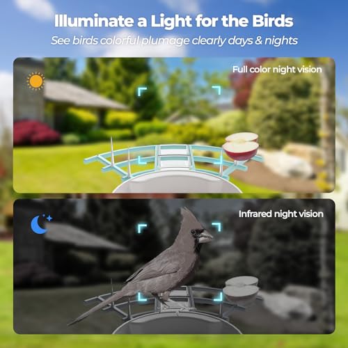 Smart Bird Feeder with Camera, Feeder with Wireless Camera | Ideal Gift for Bird Lover, Solar Powered, AI Recognition, Instant Notifications - color: Blue