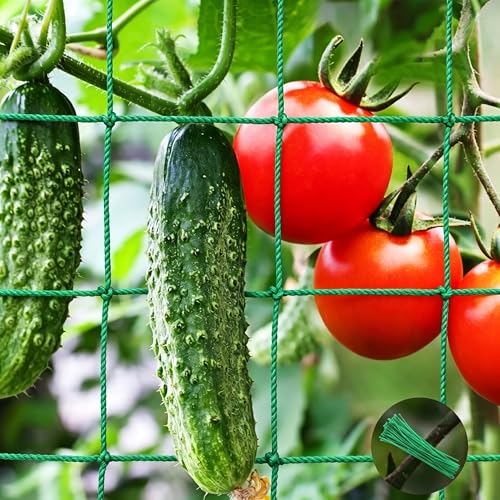 Unves Trellis Netting, 26.2 x 6.6 Ft Garden Trellis for Climbing Plants, 27 Strands & 4x4 Inch Mesh Plant Net for Tomato, Cucumber, Heavy Duty Net for Vegetables, Fruits, Grapes, Bean - size: 26.2 x 6.6 Ft