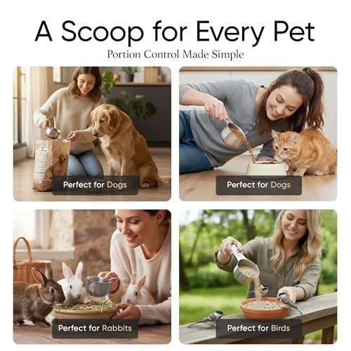 Color Up ⅛ Cup Pet Food Scoop – Stainless Steel Dog Food Scoop Cup (2 Tbsp) – Durable, Rust-Resistant Measuring Scoop for Dogs, Cats, Birds & Rabbits – Ideal for Dry Food & Treats - size: ⅛ Scoop (⅛ Cup)
