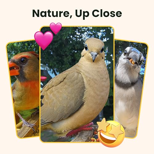 Smart Bird Feeder with Camera Solar Powered, Slow-Motion Video & Night Insight, AI Identify 6000+ Species Lifetime Free, Ideal for Outdoors Bird Watching & Gifts for BirdLovers, Wood | Fir Wood, No Subscription, Live Stream, Night Insight, 1080P, AI Bird