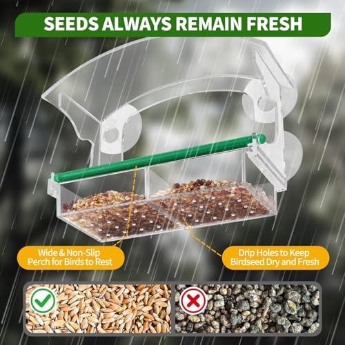 Window Bird Feeder for Outdoors, Acrylic Bird Feeder with Strong Suction Cups, Perfect for Up-Close Viewing, Removable Seed Tray with Drain Holes to Keep Nuts Fresh & Dry, Clear