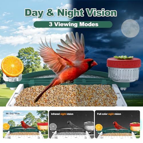 4K Solar Smart Bird Feeder with Camera for Outdoor Bird Watching | 160° Wide Angle, 5200mAh Battery, 32GB SD Card, AI ID 10000+ Birds, Color Night Vision, Waterproof WiFi, Gift for Bird Lovers