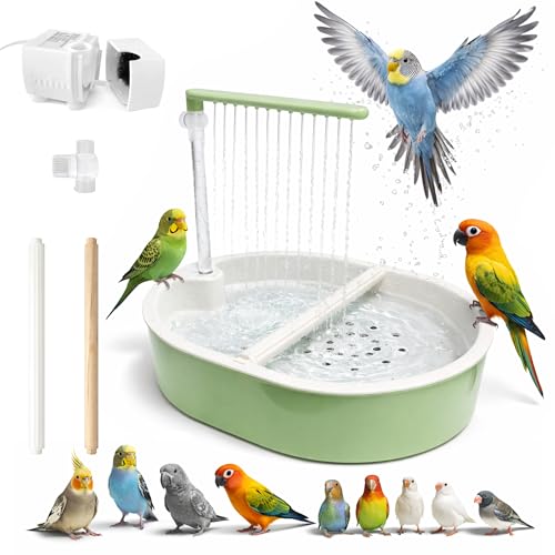 Indoor Bird Bath Fountain, Dual Rainfall Parrot Shower with Anti-Clog Pump & Filter Sponge, Adjustable Water Flow, Natural Beech Wood Perch, Bird Shower Spa for Parakeet, Cockatiel, Lovebird