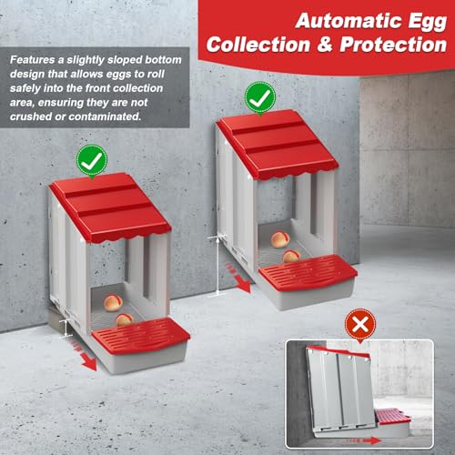 2 Hole Chicken Nesting Box with Rolling Egg Collection Design | Rolling Egg Collection & Protection Nesting Boxes, Avoid Broken Eggs, Ideal for Coops, Backyard & Family Chicken Raising - size: 2 Compartment