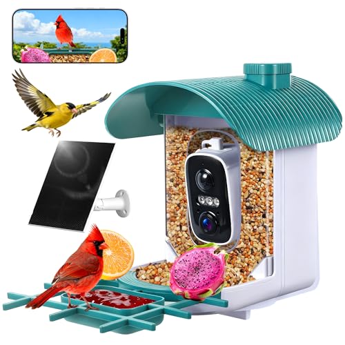 Smart Bird Feeder with Camera : 2K HD Video Live Stream, AI Birds Species Identification ＆ Instant Arrival Alerts, Solar Bird Feeder Camera for Outdoor Backyard, Ideal Gifts for Families nature lovers - color: Green