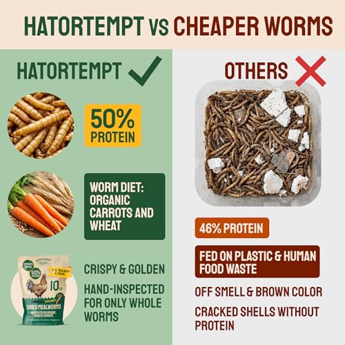Hatortempt 2lb Dried Mealworms for Chickens, Birds, High Protein Bird Feed | High-Protein Wild Bird Food - Organic Diet Meal Worms - Hand Inspected Treats for Blue Birds, Robin, Ducks - 2 Yr Shelf Life - size: 2 Pound (Pack of 1)