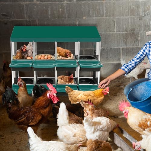 Chicken Nesting Box, Green 8 Hole Chicken Laying Box, Tray for Easy Egg Collection, Large Holes for Ventilation, Suitable for Chickens & Ducks