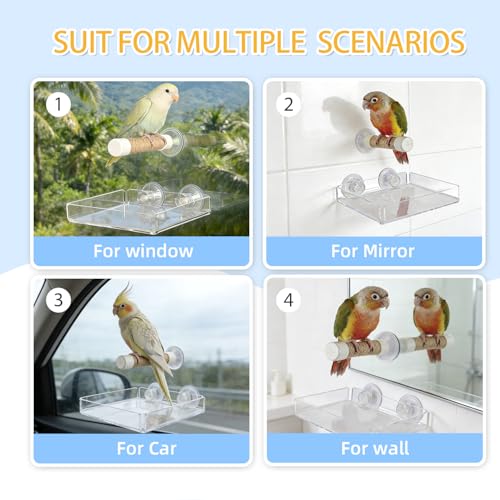 Suction Cup Bird Perch – Jute Rope Stand with Removable Acrylic Poop Tray, Multi-Surface Window Shower Car Travel Perch for Small to Medium Parrots, Budgies, Cockatiels, Lovebirds, Conures (medium)