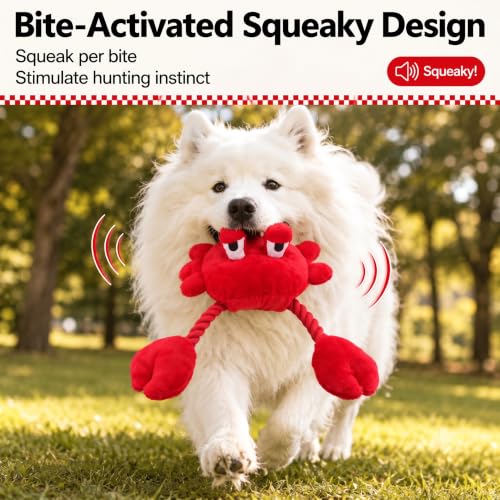 Squeaky Dog Plush Chew Toy, Interactive Tug Squeaky Toy for Chewers, Medium & Large Dogs & Fetch Play, 18.1 Inch Stuffed Crab Toy with Rope Twisted Claws for Gentle Gum Care & Boredom Relief, Red - color: Red (Crab)
