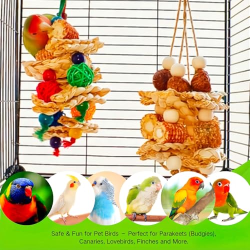 2pcs Bird Toys for Parakeets,Parrot Cage Chewing Hanging Toy | Bird Foraging Toys,Parrot Toy For Conure Cockatiel Budgies Lovebird