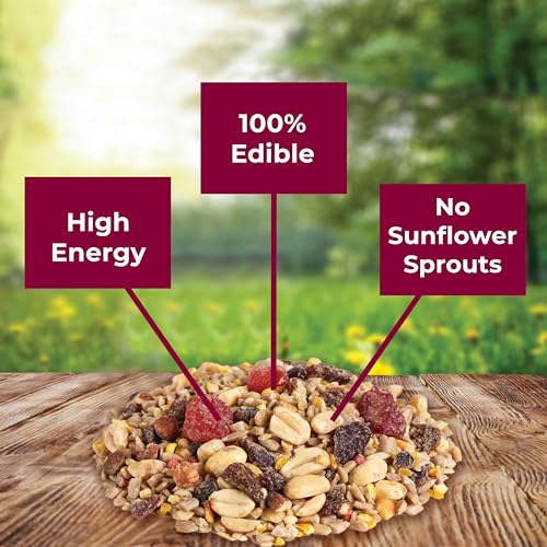 Kaytee Wild Bird Ultra No Mess Nut & Fruit Food Seed Blend For Blue Jays, Woodpeckers, Juncos, Cardinals, Grosbeaks, Sparrows, and Finches, 5.5 Pound - size: 5.5 Pound (Pack of 1)