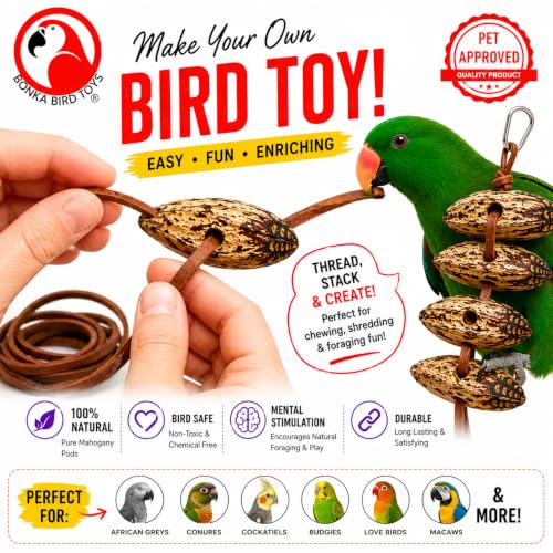 Bonka Bird Toys 3410 Drilled Mahogany Pods Shreddable Foraging Bird Toy with Natural Materials Hanging Cage Toy 9" for Small to Medium Parrots Budgie Cockatiel Conure Chewing Enrichment (Pack of 12) - size: Pack of 12