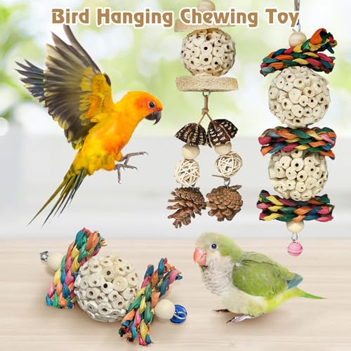 BNOSDM Hanging Bird Toy Sola Balls 3PCS Parrot Shredder Balls Natural Parakeet Foraging Toy Wood Bird Cage Chew Toys for Cockatiel, Budgie, Sun Conure, Quakers, Lovebirds (B) - color: Colourful