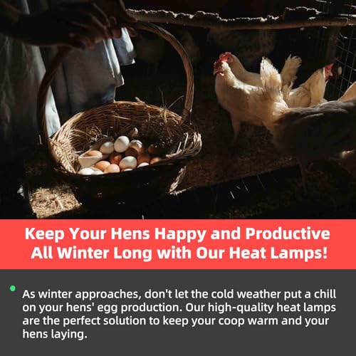 Chicken Coop Heater Inside Coop heat lamp，300 Watt Two-Stage Temperature Brooder Heater for Chicks, Duck，Poultry