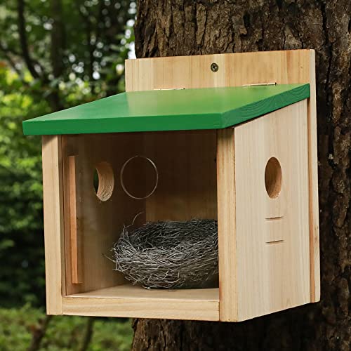 STARSWR Bird House Large Bluebird House Feeder Outdoor Mealworms Feeder for Bluebird with Viewing Window,with Easy Clean Removable Door Outside Hanging Birdhouses