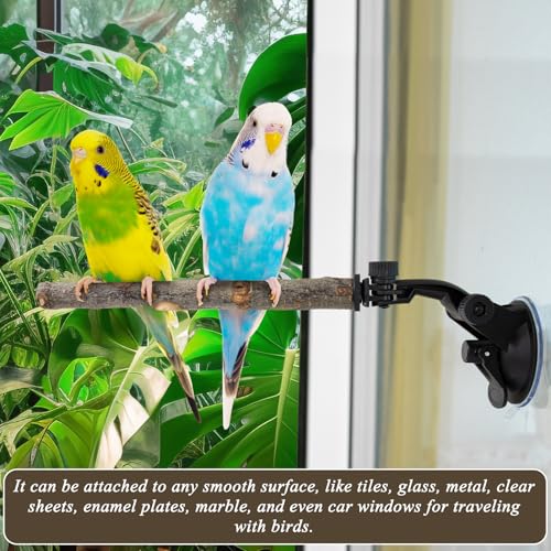 2 Pcs Parrot Perch Stand, Strong Suction Cup Bird Perch, Movable Perch Stand Bird Training Set, for Window Mirror Car Shower Ceramic Tiles Bath Wood Training Perch, for Bird, Cockatoo, Macaw, Parakeet
