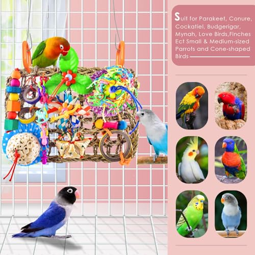 KATUMO Parrot Toys, Large Bird Wall Mat Toys for Parakeet Conure Budgie | Durable Large Bird Shredding and Foraging Toys, Easy to Hang, Relieve Boredom, Ideal for Various Small and Medium Birds - style: Solla ball