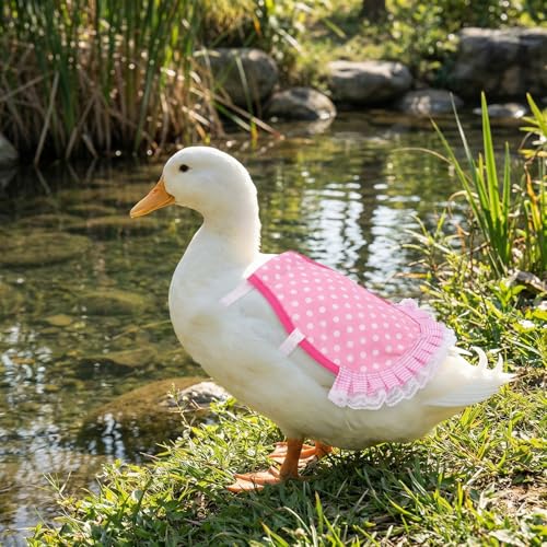 6Pcs Adjustable Chicken Saddles Breathable Hen Feather Protection Aprons | Breathable canvas fabric,adjustable elastic straps,full feather protection,fit small medium hens,smooth scratch-proof edges - color: Sweet Fruit