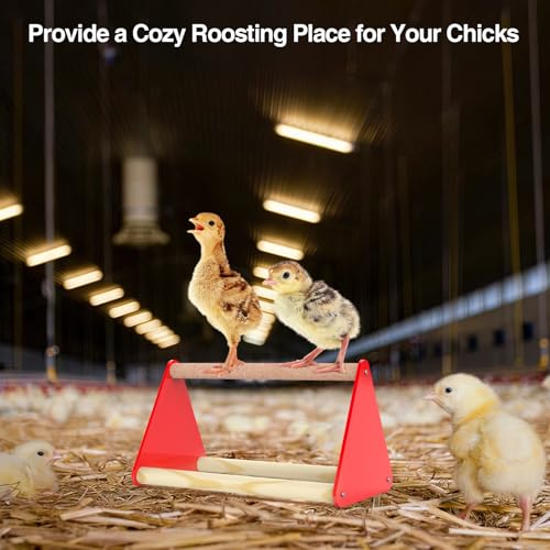 Chick Feeder and Waterer Kit - Baby Chicken Supplies with Chicks Perch, Plastic Feeder Trough and 1.2L Waterer, Chicken Starter Kit for Coop and Brooder for Small Poultry Ducks Quail - color: Red 1