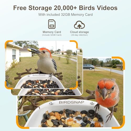 Smart Bird Feeder with Camera Solar Powered 2K HD Live Video with 32GB Card | AI Identifies 10,000+ Bird Species, Instant Alerts, IP65 Waterproof, Easy Setup, Bird Watching Gift for Bird Lovers - color: Brown