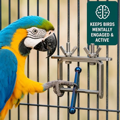Bird Toys for Large Birds (Blue Spinner) Stainless Steel Bird Toy with Traveling Spinner | Macaw Toys | Durable Puzzle Enrichment Toy for Medium to Large Birds Cockatoos Parrot | Bird Cage Accessories - color: Spinner - Blue Flamed