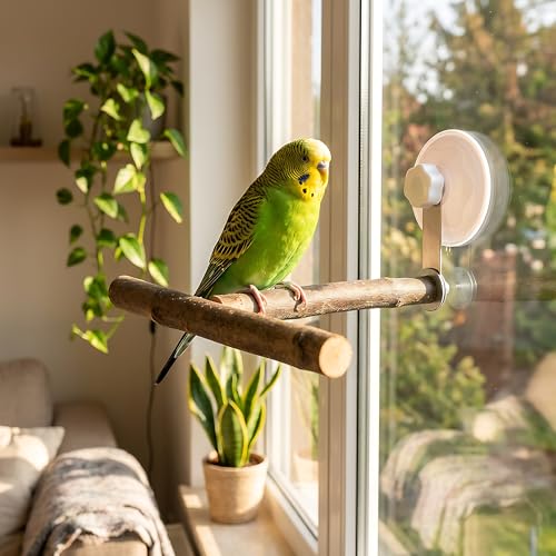 Natural Wood T-Shaped Bird Perch with Suction Cup for Window | Portable T-shaped parakeet window stand & bird shower perch for cockatiel, lovebird or budgie. Fits glass, mirrors & tiles