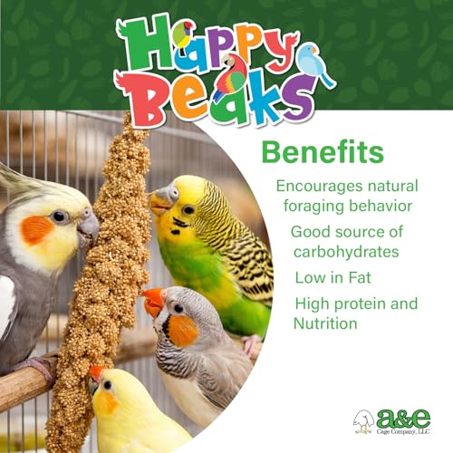 A&E Cage Co Premium French Millet Spray Bird Treat, 1 lb Bag | Grown in France, No Artificial Preservatives, Source of Fiber & Minerals, Encourages Natural Foraging - size: 1lbs
