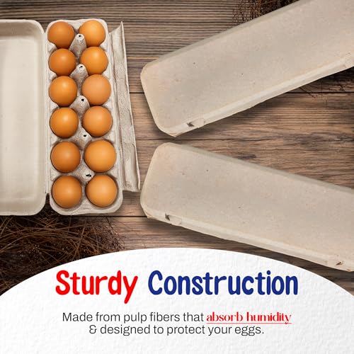 MT Products Natural Flat Top Egg Cartons 12 Count Pulp 200 Pack Made in USA