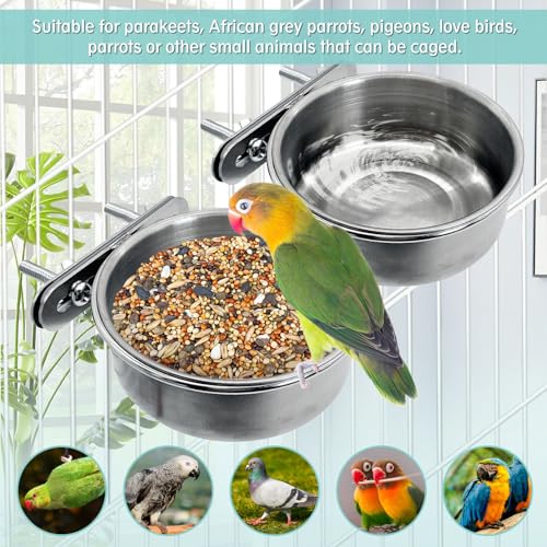PINVNBY Stainless Steel Bird Bowl Parrot Food Water Bowls with Clamp Holder Bird Feeder Dish Cups Crate Bowls for Cockatiel Pigeons Conure Budgies African Greys (2PCS Screw Size: L)