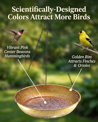 Hanging Bird Bath for Outside Metal Birdbath 11 Inch for Birds to Seed Bathe Drink Decor Bird Bath Gold to Iridescent Pink Gradient Decor for Garden Back Yard Patio Attracts Hummingbirds & Finches - color: Gold Iridescent Pink Gradient