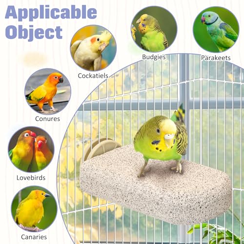 BNOSDM 4 Pcs Bird Beak Grinding Stone Calcium Parrot Perch Stand 4.7*2.6in - color: 4 Pcs- White (L)