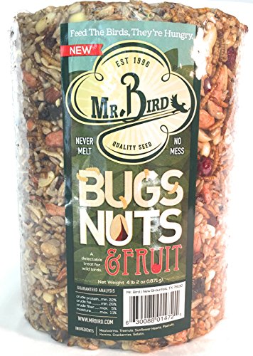 Mr. Bird Bugs, Nuts & Fruit Cylinder, 1-Pack, 4 lbs 2 oz | Wild Bird Seed For Outside Feeder | Premium Blend of Mealworms, Sunflower Hearts & Cranberries | No Mess, No Melt - size: 1 Pack