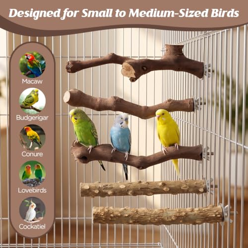 5PCS Bird Perch Stand Natural Wooden Parrot Stand Branch,3 Grape Wood Perch,2 Stand,Paw Grinding Fork Parakeet Chewing Stick Exercise Training Branches for Cockatiels,Small Medium Birds