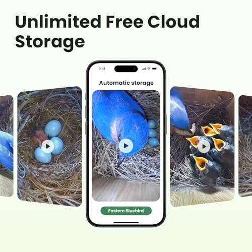 Smart Bird House with Camera Solar Powered, 1080HD Live Video & Night Vision for 24/7 Nesting Recording, Auto Detect & Notify, Ideal Nature Gift for Bird Lovers, AI Identify Lifetime Free