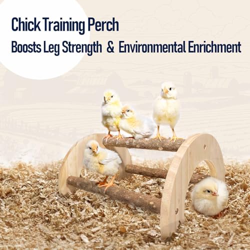 Natural Wood Chick Perch for Brooder, Baby Chicken Roosting Bars(1 Pack) - size: 1 Pack