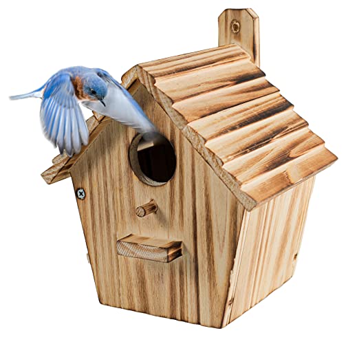 Bird House Bird Houses for Outside with Pole Wooden Bird House for Finch Bluebird House Cardinals Hanging Birdhouse Clearance Garden Country Cottages (B8) - color: brown