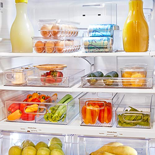 iDesign Plastic Egg Holder for Refrigerator with Handle and Lid, Fridge Storage Organizer for Kitchen, Holds up to 14, 4.25" x 14.5" x 3", Clear