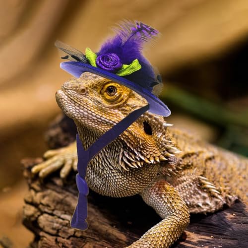 6-Pack Mini Chicken Hats for Hens, Dolls Hats, Cute Decorations | Cotton & Polyester, 2.76 in (7 cm), Adjustable Chin Strap, Fits Small Animals - style: Single-Flower-Suede-2