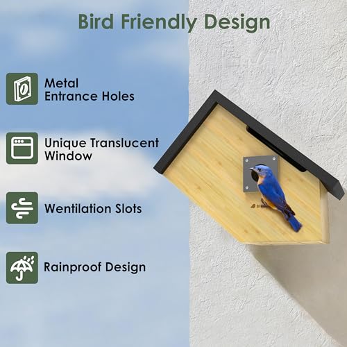 Smart Bird Houses for Outside Solar Powered, 1080P HD Live View Birdhouse with Camera, Perfect Viewing Bird Nesting and Hatching, Ideal Outdoors Bird House for Blue Bird and Cardinal (Black) - color: Black