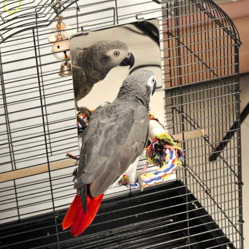 9" Bird Mirror for Cage, Large | Rope Perch, Bird Swing, For Parakeet Budgie African Grey Conure Cockatiel Lovebird Finch Canarie - size: Large