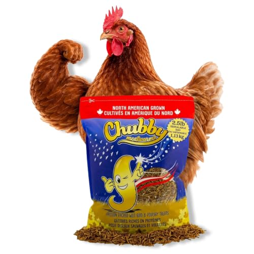Chubby North American Grown Dried Mealworms | 2.5 lbs | Non-GMO High-Protein Treats for Chickens, Ducks & Wild Birds – Sustainable Chicken Feed | Non-GMO, High-Protein - size: 2.5 Pound (Pack of 1)