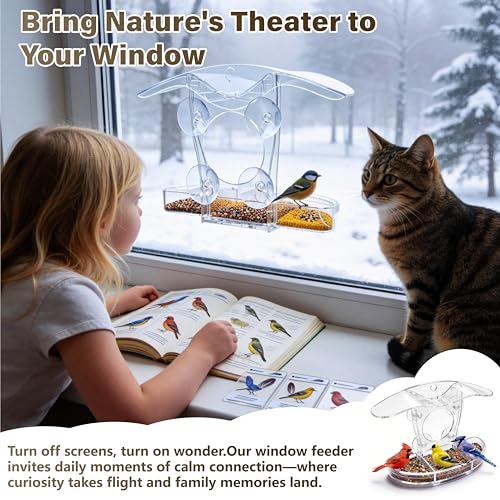 Window Bird Feeder with 5 Acrylic ID Cards - Clear Bird House for Outside with Removable Tray & Drain Holes - 4 Strong Suction Cups, Panoramic View for Wild Birds, Cat TV, Nature Gift
