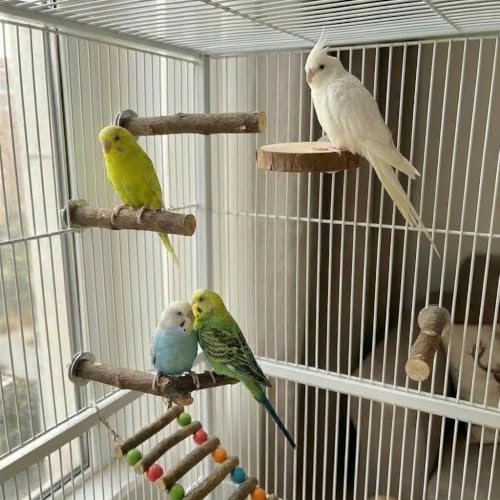 8PCS Bird Perch Stand, Natural Wood Parrot Stand Branch Paw Grinding Y Fork,Bird Cage Branch with Wooden Hanging Perch Platform Hammock Swing Toy for Small Parakeets,Budgies,Cockatiels,Conures,Finches