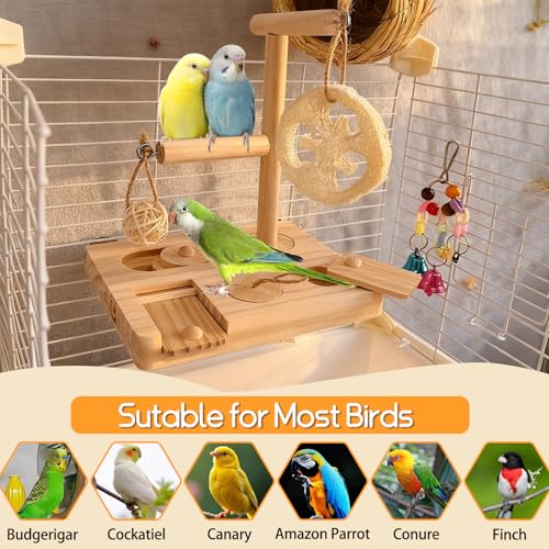 Bird Foraging Toys Parrot Enrichment Puzzle Toy Bird Playground Exploring Platform with Perch Chewing Toy for Small Birds Parakeet Cockatoo Budgie