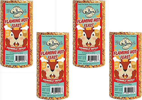 Mr. Bird Flaming Hot Feast Spicy Bird Seed Cylinder, 4-Pack, 1 lb 3 oz | Premium Blend of Mealworms, Peanuts & Hot Pepper | Squirrel Repellent | Handcrafted in Texas - size: 1.19 Pound (Pack of 4)